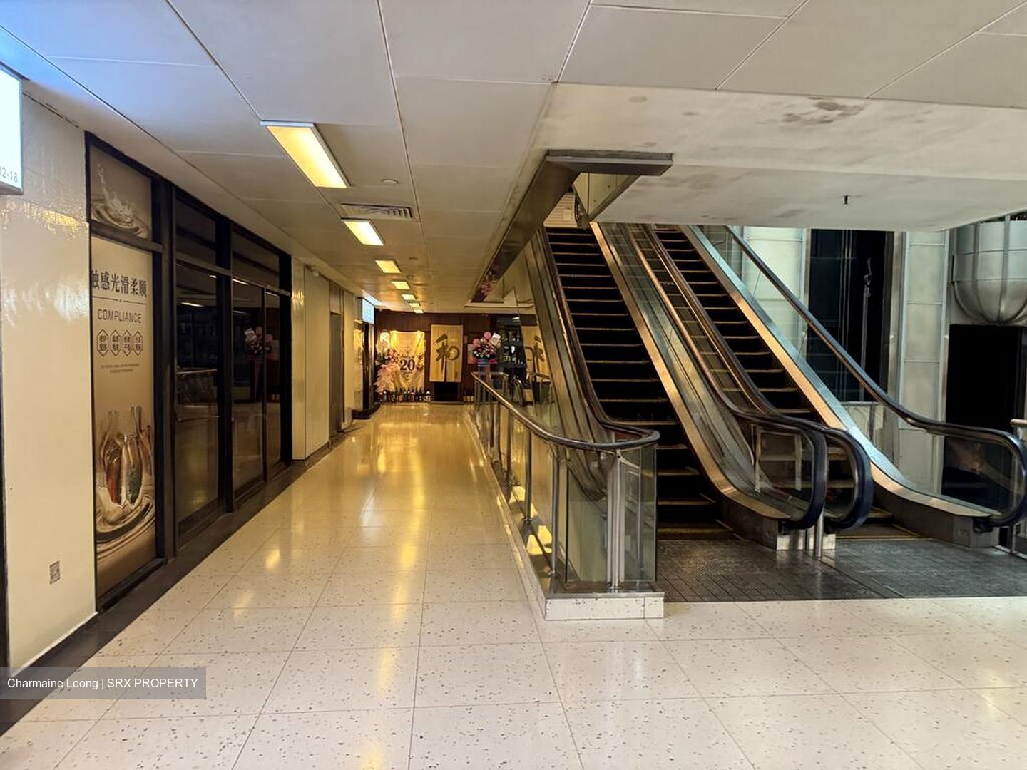 Cuppage Plaza (D9), Shop House #568048881